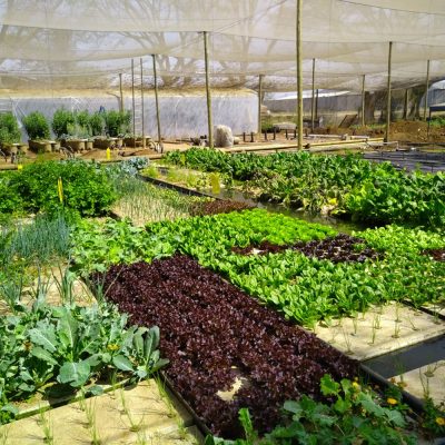 WhatsApp-Image-2021-04-20-at-18.11.36 1