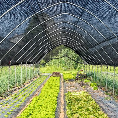 bc70c4f7-ad11-485b-ac76-ee3aab1b1217.__CR00970600_PT0_SX970_V1___ 1