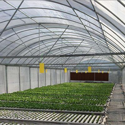 greenhouse-shade-net 1