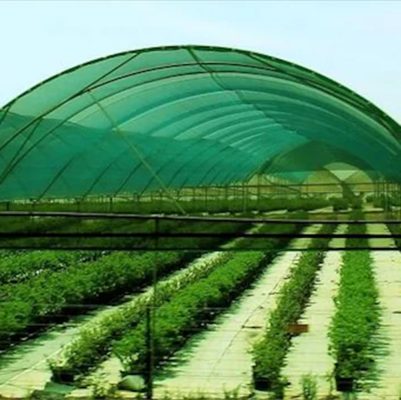 shade-net-q5z6pva-250 1