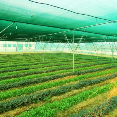 uv-protected-agricultural-shade-net-500x500 1